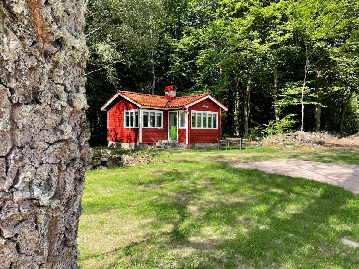 Villa Ormanaesgardens Stugby Höör Esterno foto